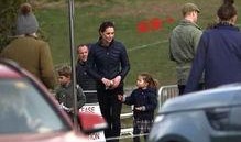 凯特律师最新爆料,揭秘事件背后惊人真相